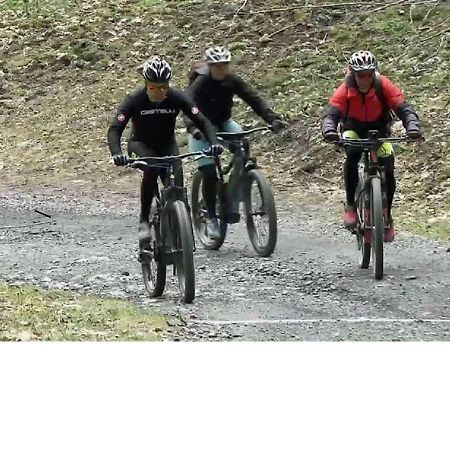 Le Cocon Du Catogne Proche Martigny Verbier - Netflix - Valettes Εξωτερικό φωτογραφία