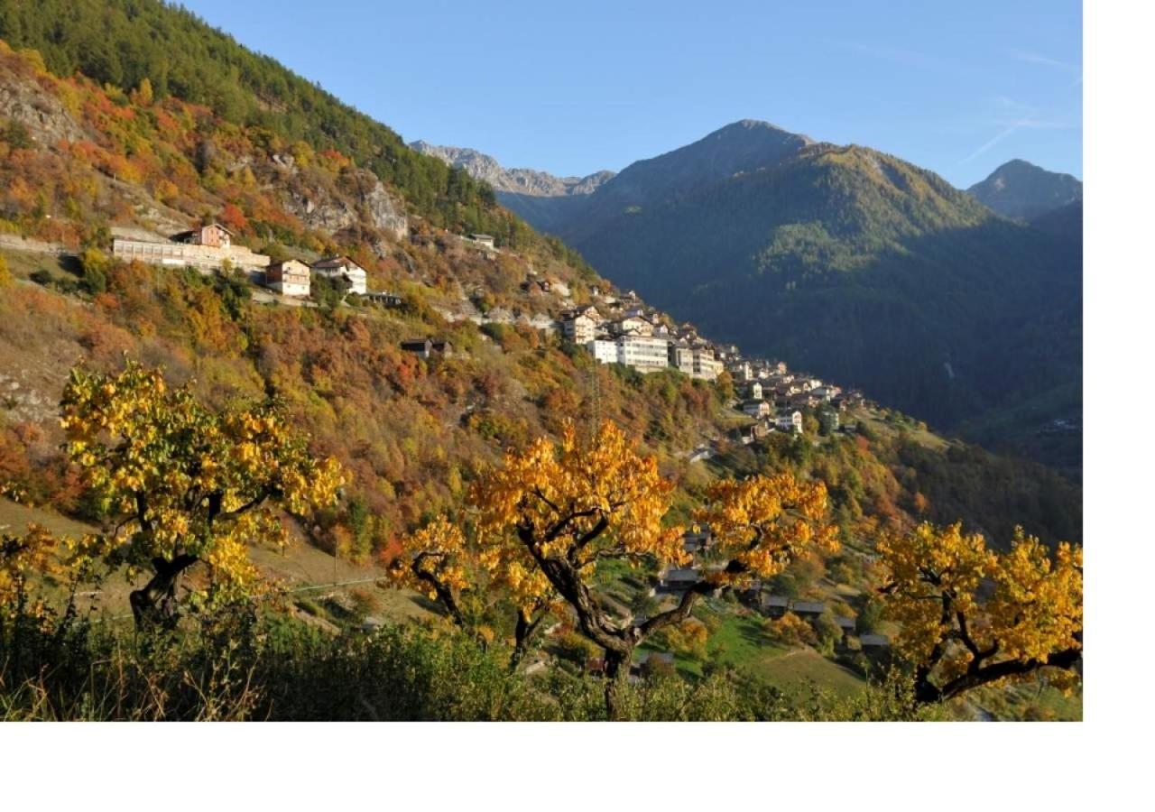 Le Cocon Du Catogne Proche Martigny Verbier - Netflix - Valettes Εξωτερικό φωτογραφία