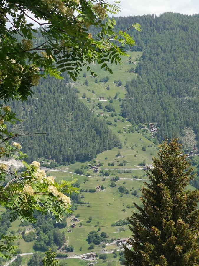 Le Cocon Du Catogne Proche Martigny Verbier - Netflix - Valettes Εξωτερικό φωτογραφία